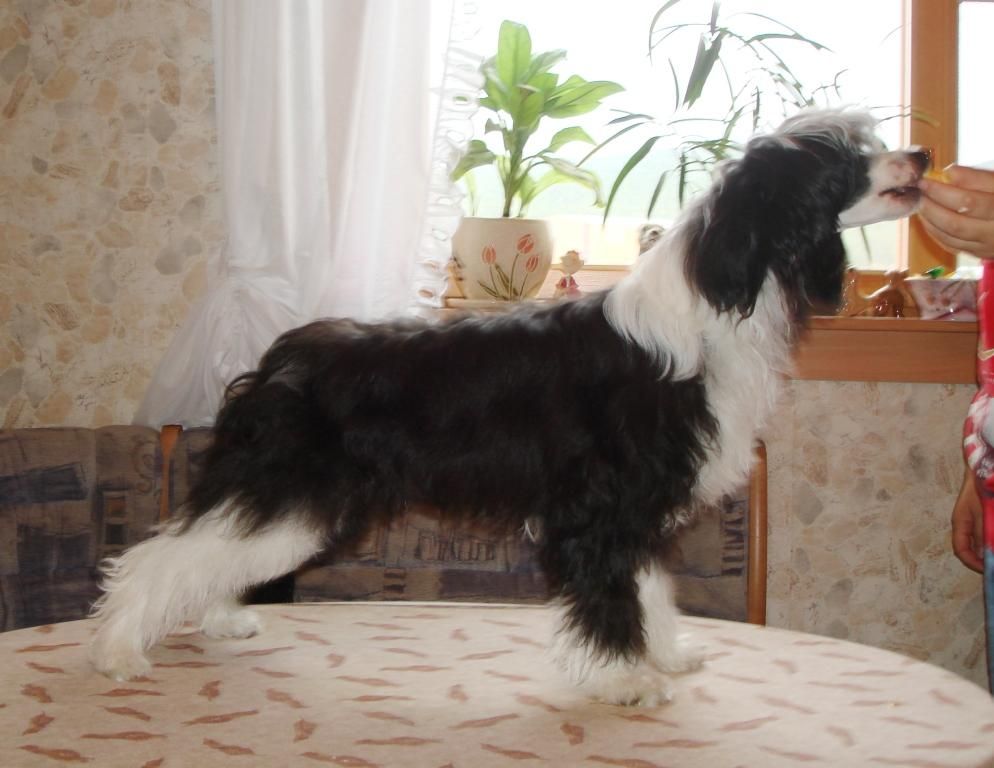 Kredo Festa Center of the Universe