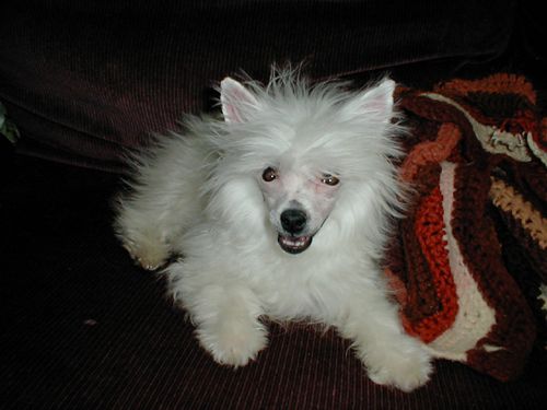 Praygein's a walk in the clouds