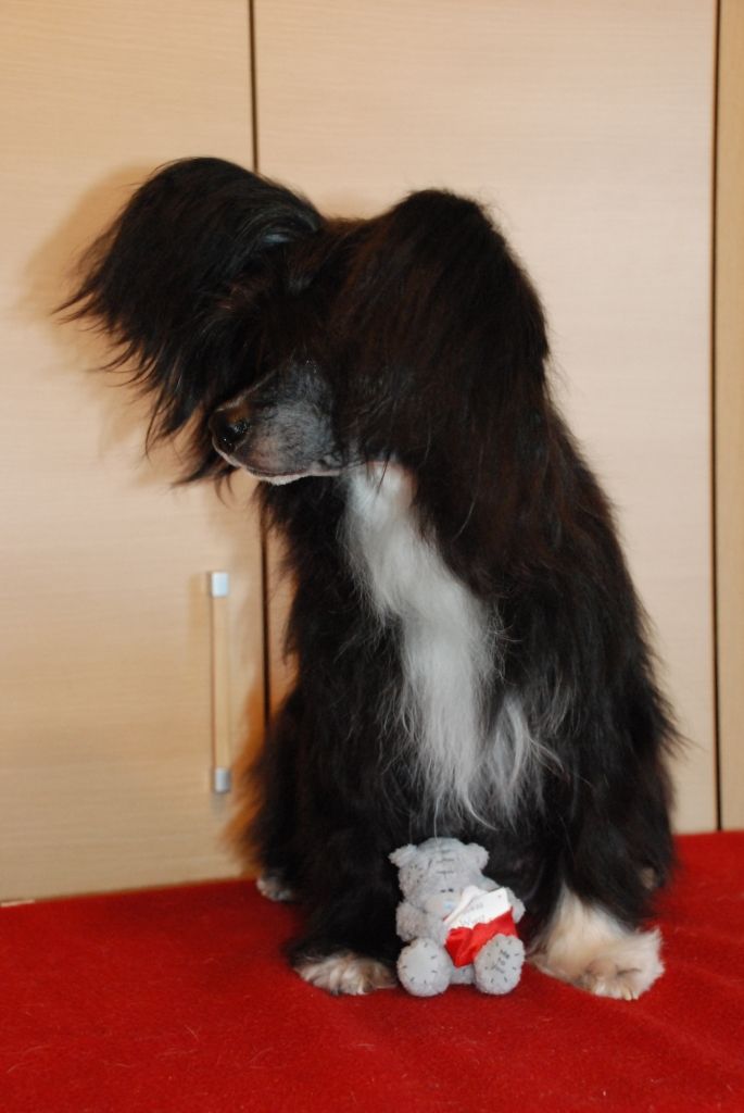 Kredo Festa Uto Godness of The Sun