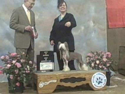 Babylon Sakkarra Water Dragon