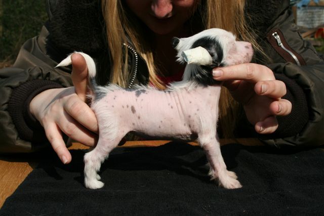 G-Spot Island Shangri-La