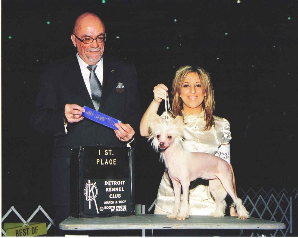 R Crested Bella Bianca