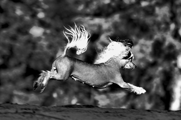 Chattanooga's All Right Mama