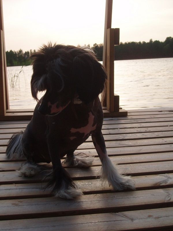 Chattanooga's All Most Andy