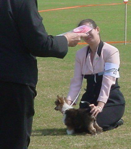 Amajen Colors of the Wind