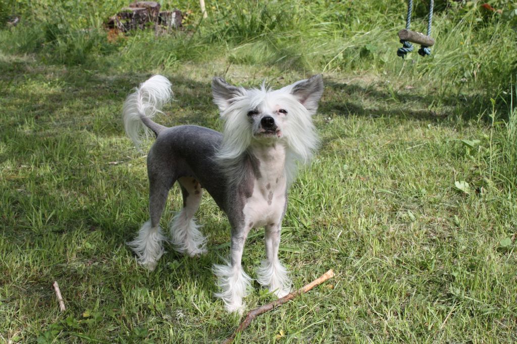 Angel of Rainbow's Angelofheaven