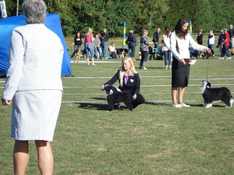 Angel of Rainbow's DarkAngel