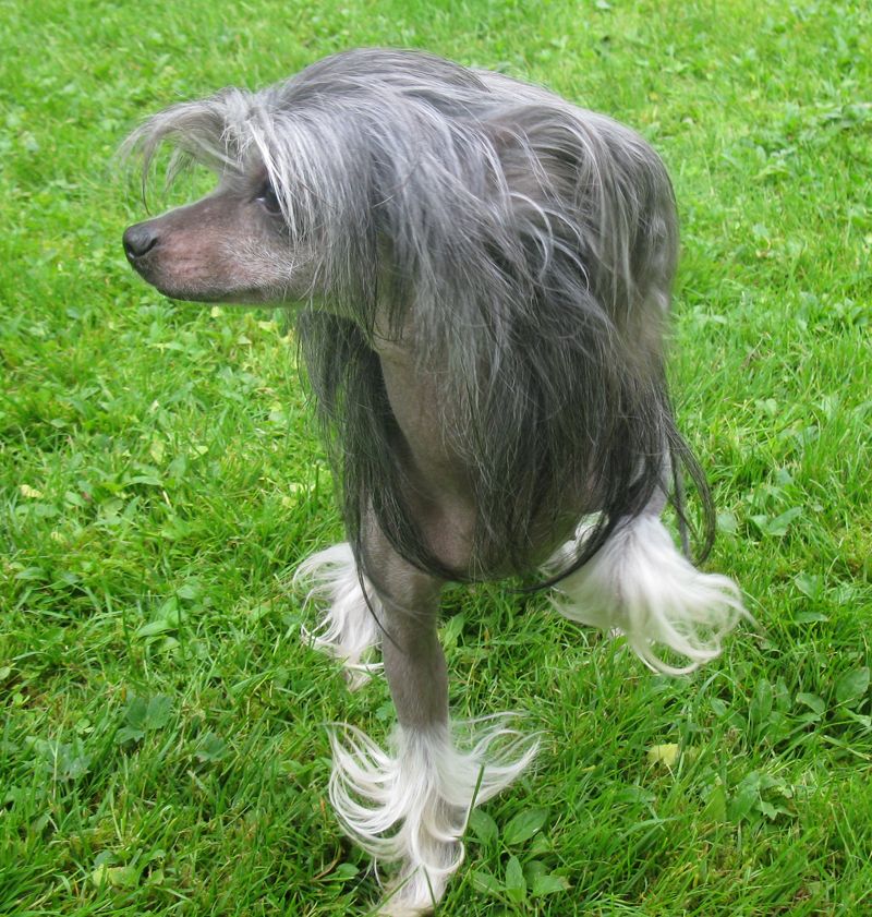 Villa Nobility Vanezza