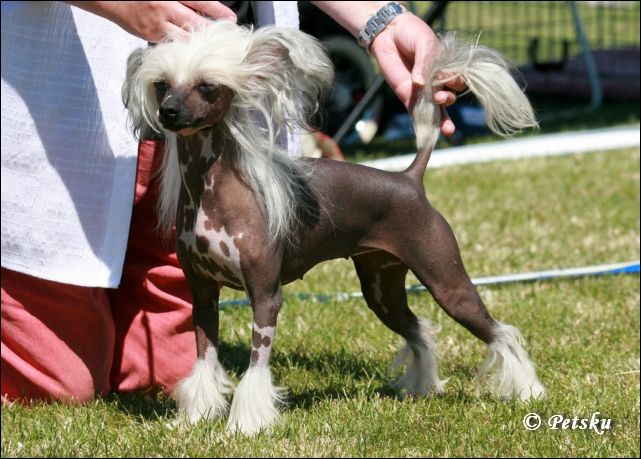 De La Mahafu's Dance Felicia