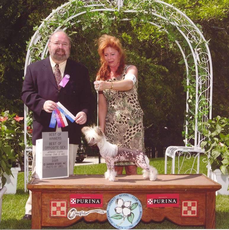 Edelweiss Forever in My Dreams