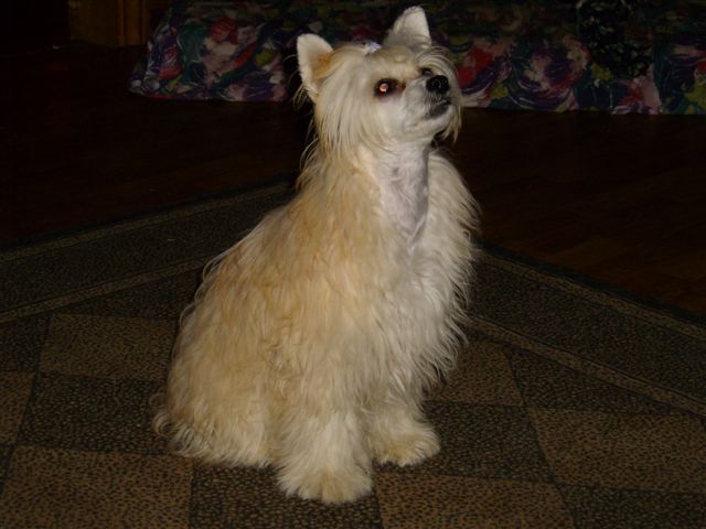 I'skytrouble's Jump For Joy