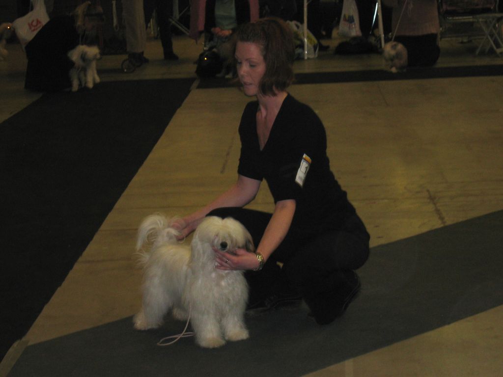 Alfastigen Dero Trolltider