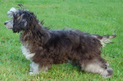 Princess Leia's Spending My Time