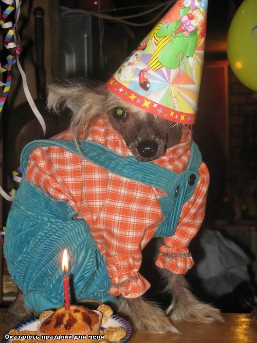 Rus Foreva Block Baster