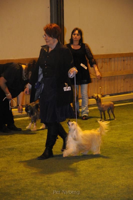 Belshaw's Spring In Paris