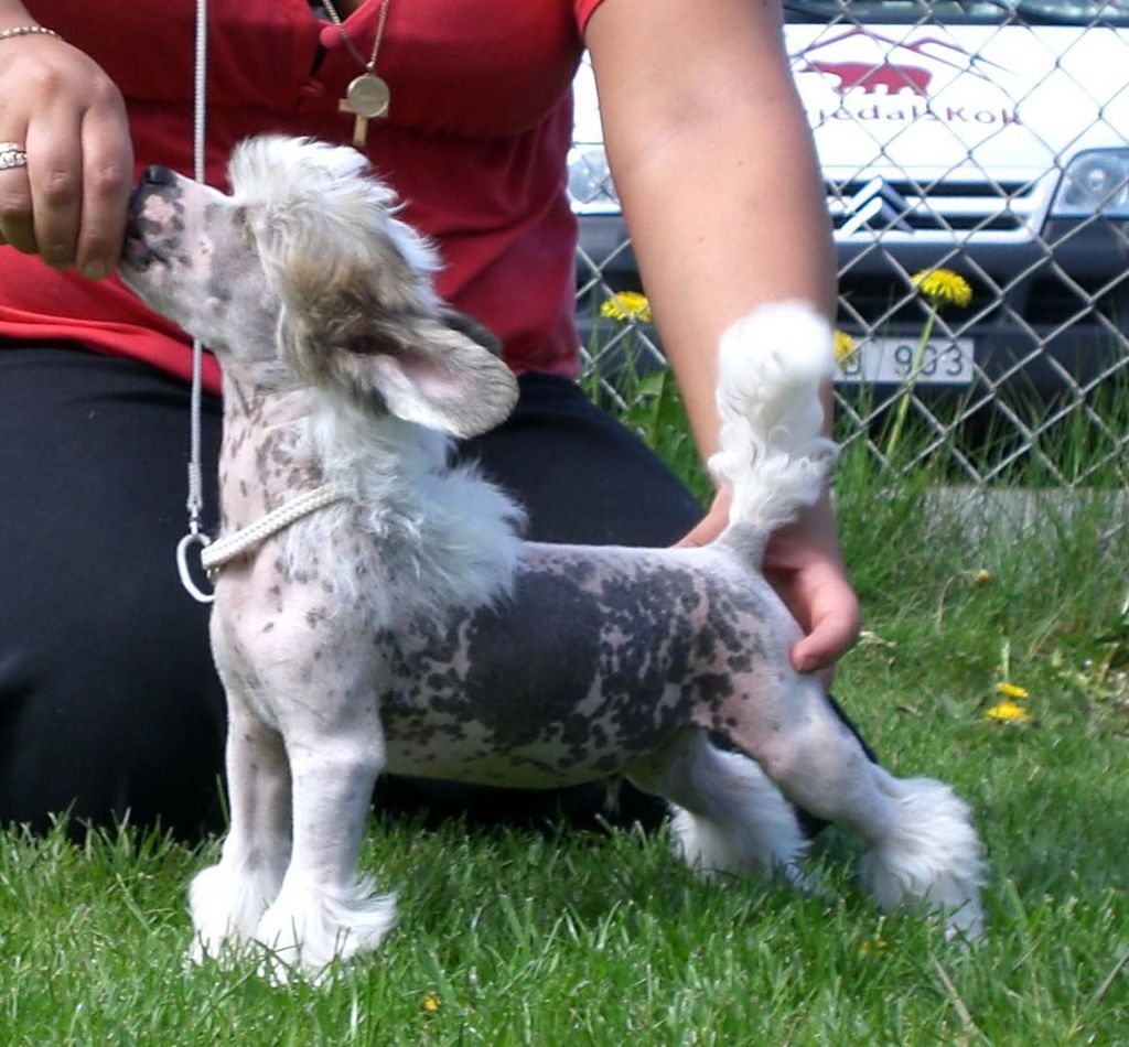 Sun-Hee's Rock'n Rush