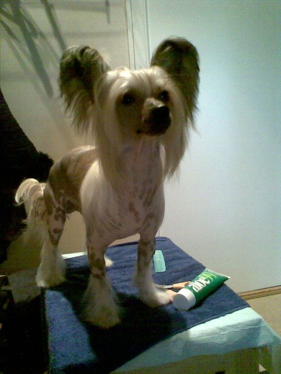 Mewtwo's Kramer Mandel