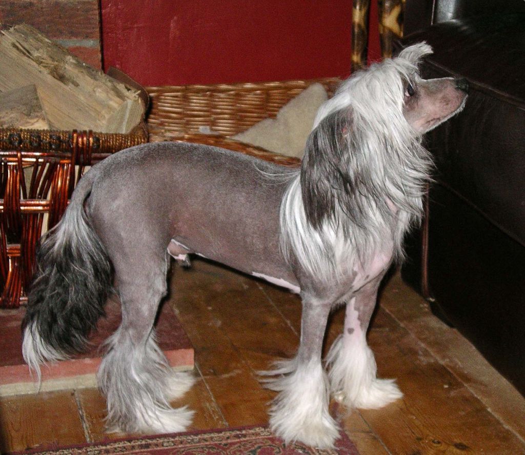 Kenmilleven Vintage Steel