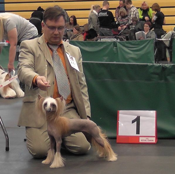 Moya Zvezda Iz Sozvezdiya Psov