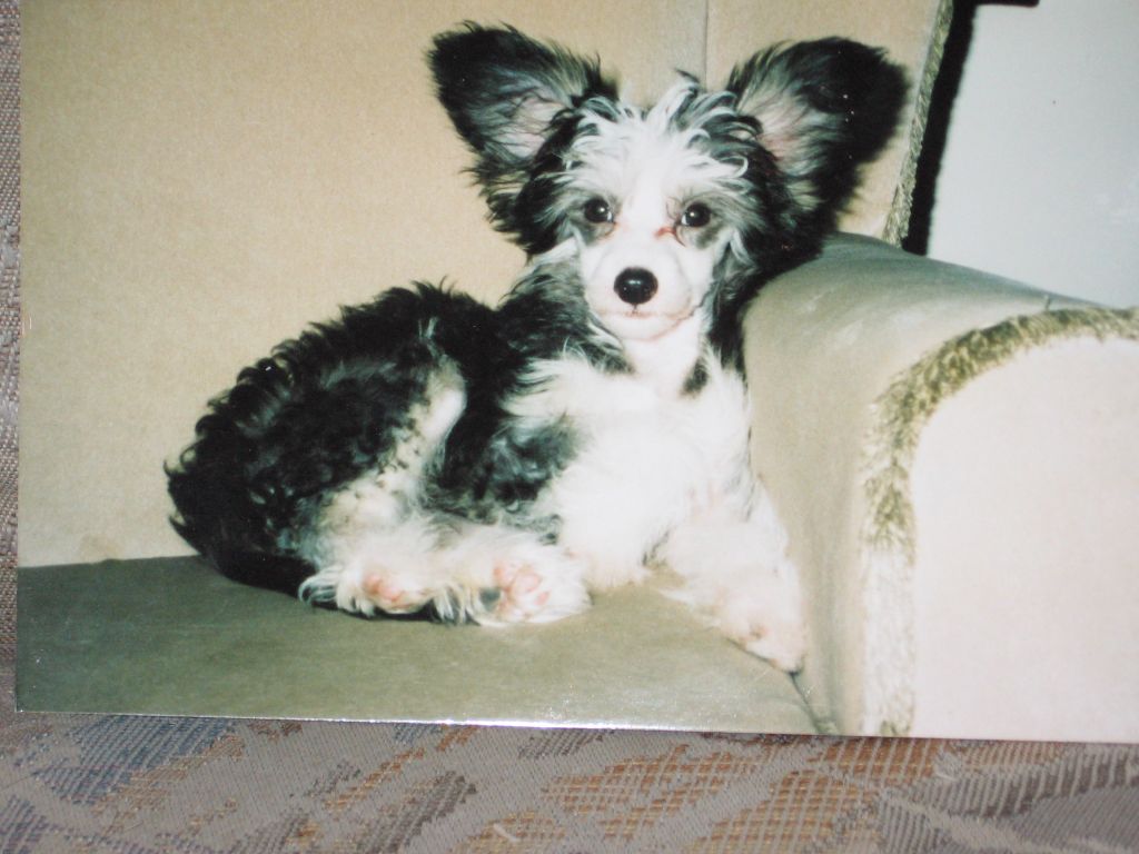 Glebeheath the Marvel at Philandiane