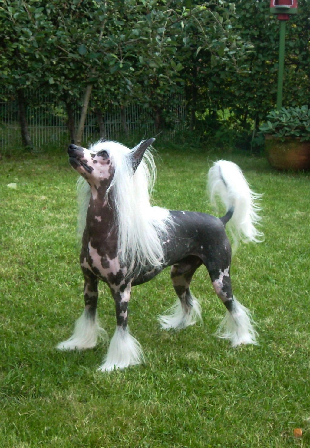 May's mile  El Cashman