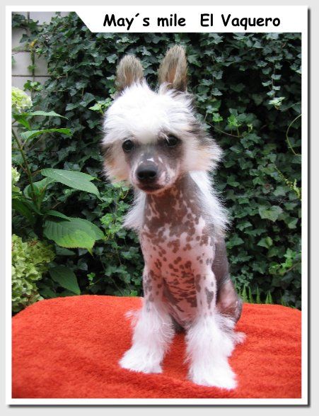 May's mile El Vaquero