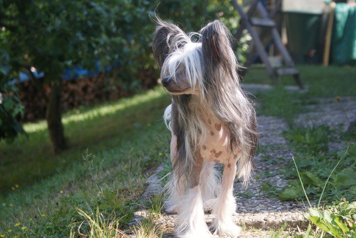 No Risk No Fun von Shinbashi 