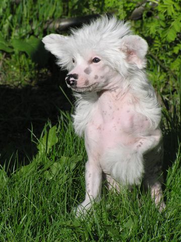 Arctic Glow Belinda Bali Firsth Forever