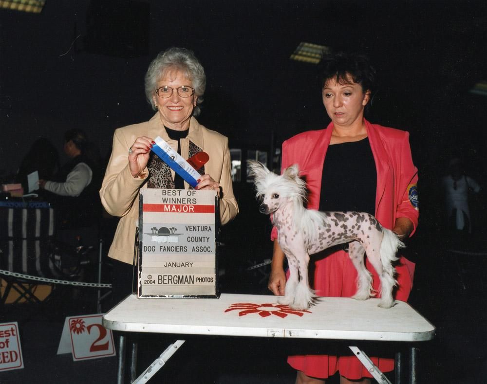 Babylon Brilliant Ayauhteotl