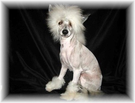 Puff The Blue Fire Mountain