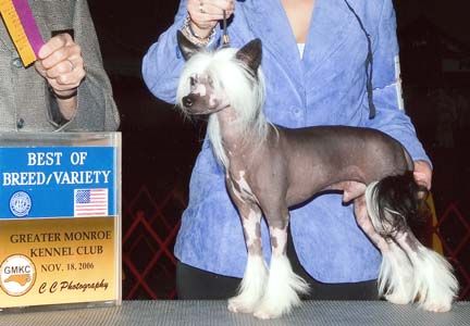 Mstical Spud Rock It