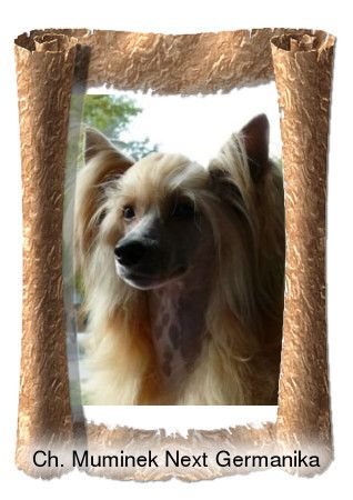 Muminek Next Germanika