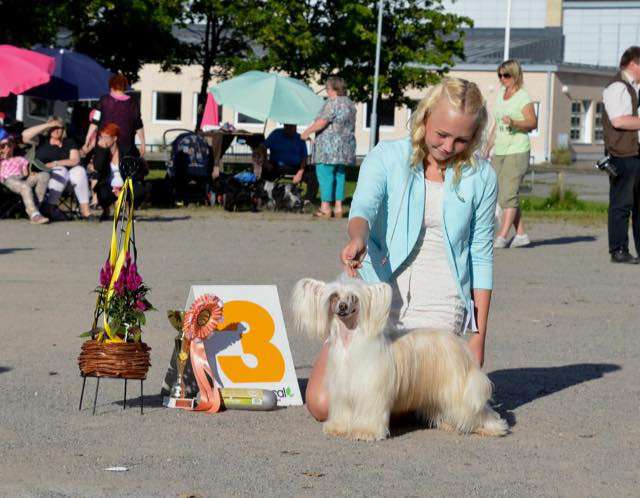 Tapi-Tapi My Little Kiss