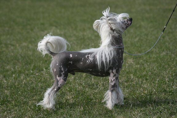 Big Jokes Harry Potter