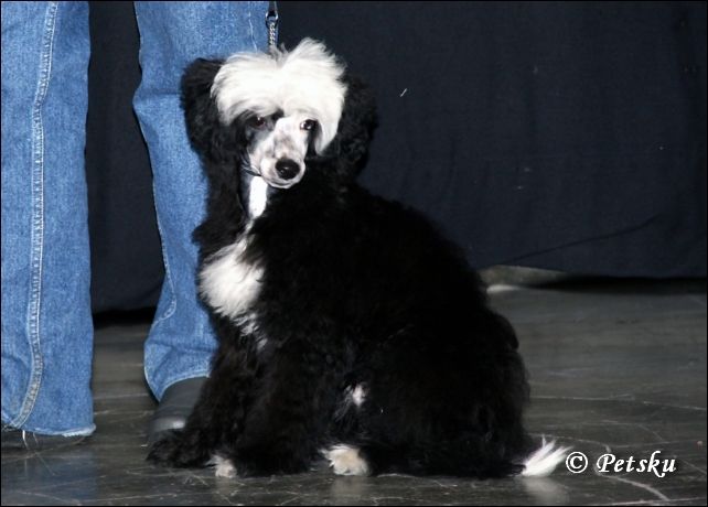 Danchester's After Me Please