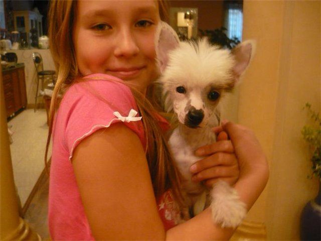 Sharman Mademoiselle Fleur