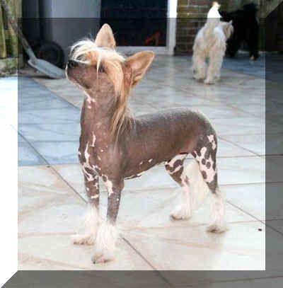 She is a Special Lady of Roxy's Pride