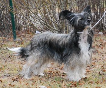 Twice as Nice Kiss Me