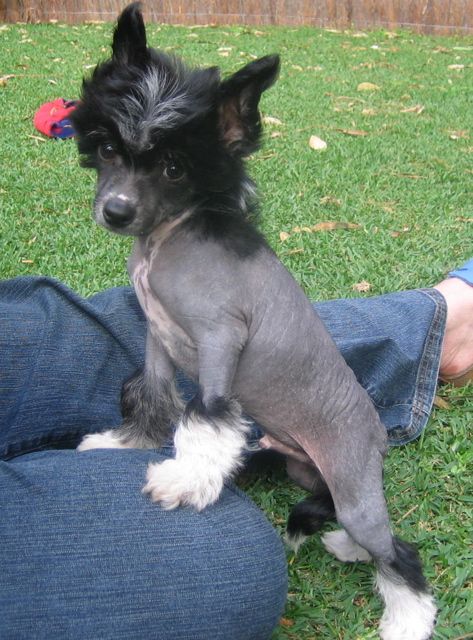 Wumao A Boy Named Sue