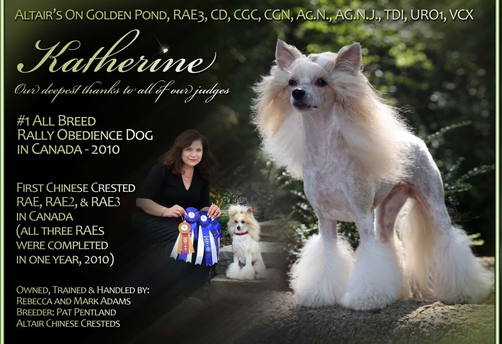 Altair's On Golden Pond