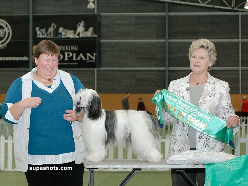 Egyptianmist Miss Explorer