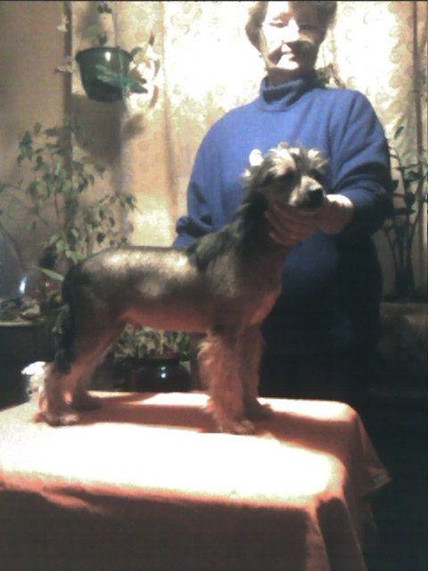 The Little Negro Imperija