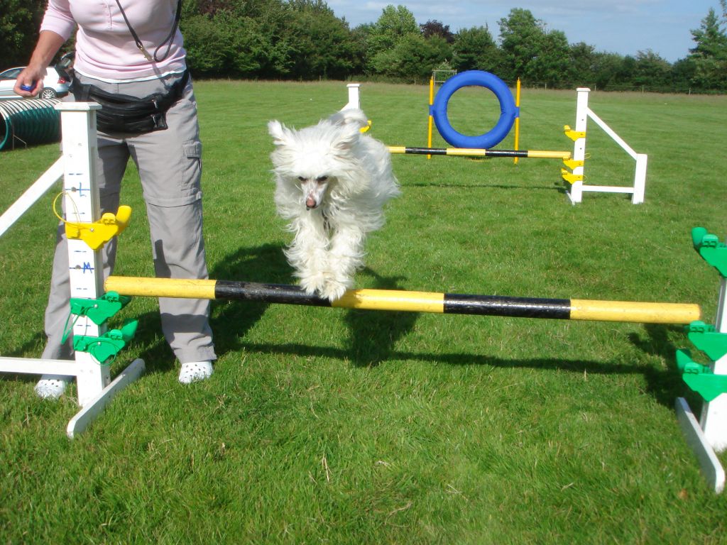 Tamarsh Magic In Th' air