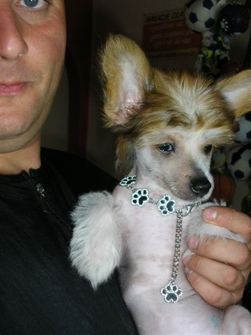 OBI   z Gangu Lysych