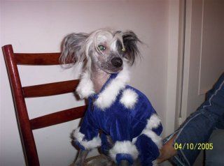 Yani Vesta Donna Bella Premera