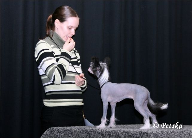 Chattanooga's Such A Screamer