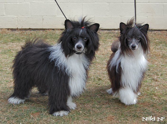 Wickhaven Living Proof