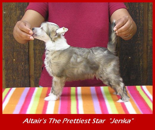 Altair's The Prettiest Star