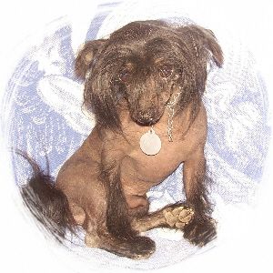 Kelly's Talk of The Town