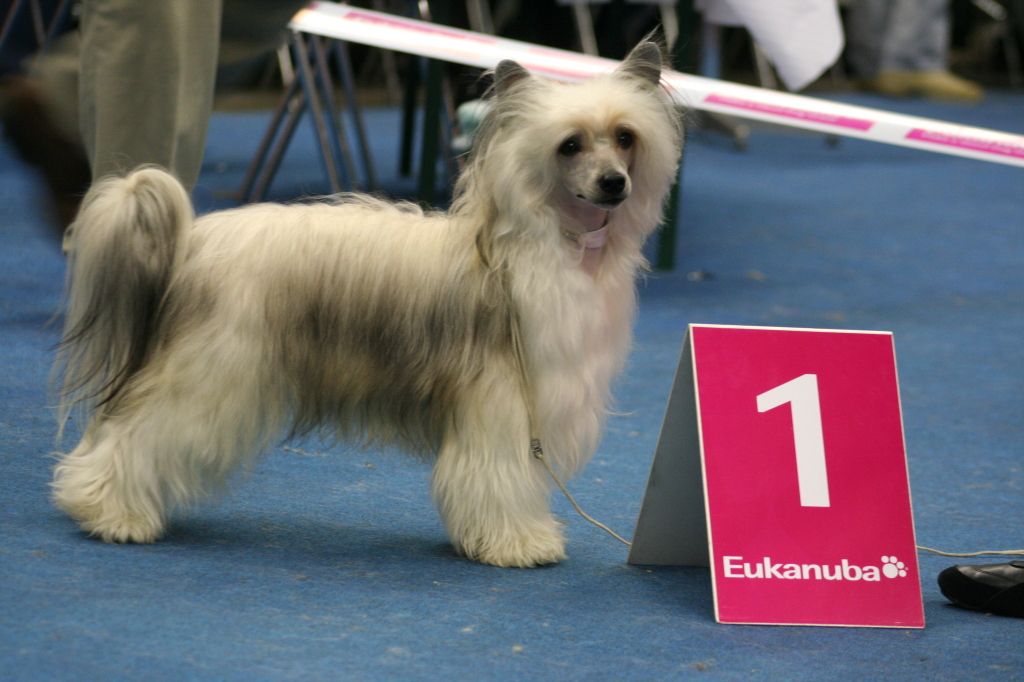 Timegarden Paradise Punch